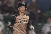 【vsロッテ】鶴岡慎也さん、日ハムでの最終打席か