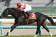 ダノンキングリー川田と新コンビで安田記念へ