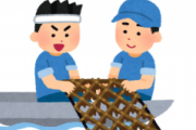 【朗報】ワイ雇われ漁師、ここから半年間無職決定wwwww