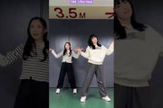 櫻坂46 谷口愛季 齋藤冬優花 踊ってみた  TWS Plot Twist TikTok
