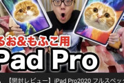 【速報】ヒカキン、飼い猫の為にiPadProフルスペックを2台購入する
