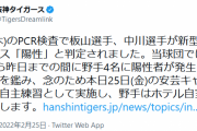 阪神、板山と中川が新型コロナ陽性