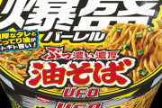 【絶望画像】貧困層のカップ麺、なんと具が無い（薬味のみ）