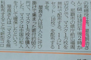 沖縄独立派がマスクを無料配布 → 人々殺到で大混乱、もみ合いも発生し警察沙汰に