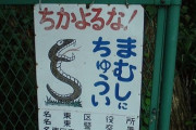 正直、福岡や札幌を田舎扱いする奴は