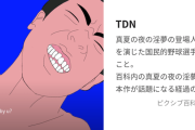 本当にTDNに当時お金が必要だった可能性