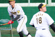 阪神・矢野監督、糸井は「レギュラーじゃない」超人にシビアな評価