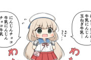 【艦これ】おつかいを頼まれた御蔵ちゃん　他なごみネタ
