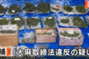 大麻取締法違反の疑いで人間を逮捕 ⇒ ガチで人間だった