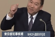 N国党みたいな政党もっと増えてくれ