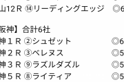 ●なんJ競馬部 全投票種目払戻率80%なのに勃たない