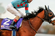 競馬ファンが選ぶ年度代表馬  有終の美を飾ったアーモンドアイが後輩3冠馬を抑えてトップ！！！