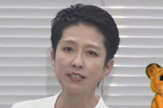 【動画】蓮舫、ピンチ！会見中にカンペを失い沈黙「・・・」公約自分で考えてないのか？
