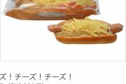 セブンイレブンさん、とんでもない商品を発売してしまうwwywwywwywwywwywwywwy