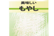 モヤシって1袋20円とかやん？