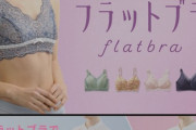 【画像】女性用下着メーカーさん、とんでもない下着を開発してしまう