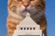 また猫が国会議事堂食ってる