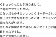 【画像】メルカリの転売ヤーのモラル、超えちゃいけないラインを超える