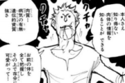 【ハンターハンター】シザーハンズとかいうヤバい能力使ってた奴ｗｗｗ