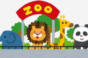 動物園ってコスパ最強だよな　やっすい料金で1日潰せる