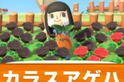 「あつまれどうぶつの森」、Ver. 1.2.0 配信！カラスアゲハの出現率減少に不満の声も