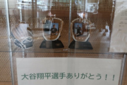 大谷グローブを市役所で展示→「勝手に展示するな」「市長の私物か」と批判殺到