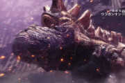 【MHWアイスボーン】ウラガンキンとかいう隠れクソモンスターｗｗ【モンハンワールド】