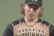 日ハム伊藤大海 10勝9敗 防2.90「9敗しているのは自分が決定的な何かを与えてしまっているから」