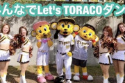 阪神　8・23京セラドーム、女性向けイベント「TORACOデー」第2弾のイベント内容発表