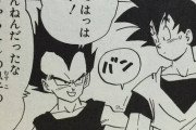 【朗報】ドラゴンボールで地味に好きな会話シーンがコチラｗｗｗｗｗ