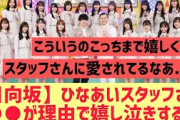 【日向坂】ひなあいスタッフさんが○○で嬉し泣きする！