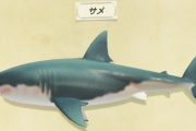【あつ森】あのデカさのサメ三匹渡してあのサイズの模型ってどういうことなの…【どうぶつの森 まとめ】