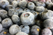 冷凍ブルーベリーの美味しい食べ方
