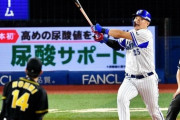 野球解説者がプロ野球選手やメジャーリーガーは批判しても高校球児は批判しない理由