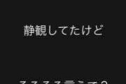 浜崎あゆみさん「イーロン・マスクの件なんやけど、そろそろ言うで」