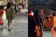 【胸を触らせてあげる】 ソウルの繁華街に段ボールだけをまとった女性が出没、「公然わいせつ」と物議