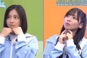 【日向坂46】あなたは、どのぶりっこが好きか？