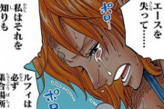 【速報】ワンピースのナミ、ロジャーの娘でエースと兄妹だった