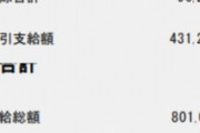 今月の給料が52万円で賞与が80万円そして障害年金等が24万円だった（※画像あり）