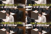 【ウイルス対策】共産党・田村智子「自民党が国立感染症研究所の予算を10年で約20億円（3分の1）も削減し人員も減らしていた！」