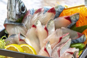 刺身で食うと最高にうまい魚
