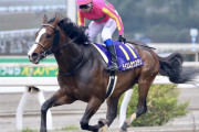 【朗報】高知競馬、1レースの売り上げ史上最高を記録する
