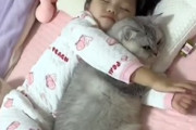 【ネコ】小さな女の子の側で一緒に眠りたいニャンコ(*´д｀*)