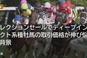 セレクションセールでディープインパクト系種牡馬の取引価格が伸び悩む背景