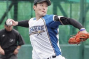 吉田輝星ってドラ1でとるような投手だった？
