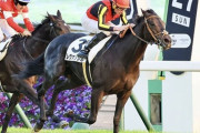 【やっぱり上手いｗ】土曜日の東京競馬　12R中7Rで外国人騎手が勝利