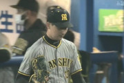 【サヨナラ負け】阪神ファン集合