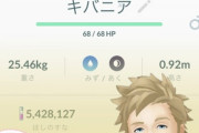 【ポケモンGO】「シャドウキバニアFFF」ゲット！こいつの使い道教えてくれ！！