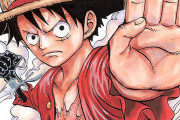 【悲報】ルフィのライバルで思い浮かべるキャラ、全然一致しない・・・・