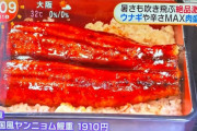 フジテレビ「ウナギにはこういう食べ方もあるんだ！」→大炎上…日本人「食べ物を粗末にするな」